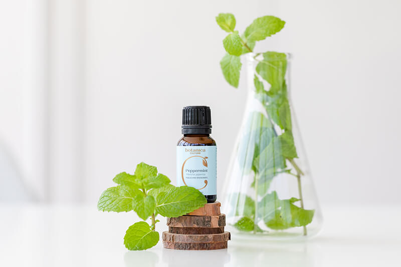 Peppermint Oil and Peppermint leaves